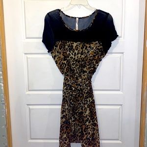 Cinch was it cheetah print dress